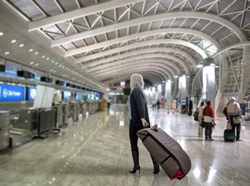 phil&teds Universal Travel Bag